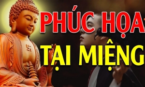 Phúc họa tại miệng