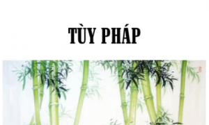 Tùy pháp