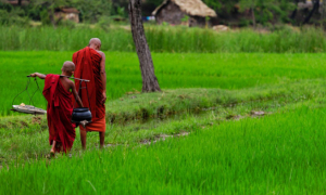 Biết nhớ ơn và báo ơn để tăng thêm phước đức