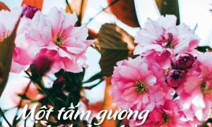 Một tấm gương hiếu hạnh trong Ni giới Việt Nam