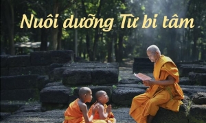 Nuôi dưỡng Từ bi tâm