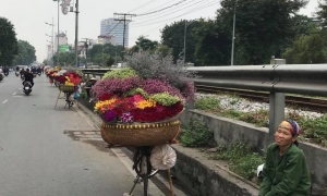 “Hoa lặng” – bài ca về những người phụ nữ không có 20/10