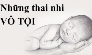 Hãy trân trọng sự sống của thai nhi vô tội