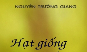 Hạt giống nảy mầm - tin yêu (P.1)