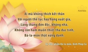 Lời Phật dạy - kinh Pháp Cú trên truyền hình An Viên