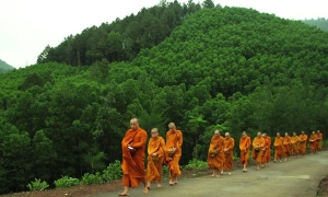 Viếng chùa Mới ở thị trấn Hòa Bình mùa dâng y