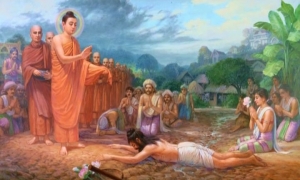 Giải mã Hệ thống Pháp nhân duyên Thánh lý Cứu khổ (P.7)