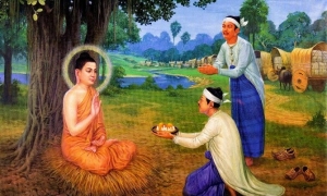 Giải mã Hệ thống Pháp nhân duyên Thánh lý Cứu khổ (P.5)