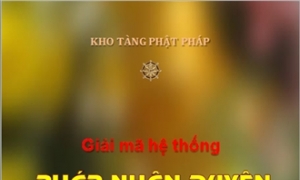 Giải mã Hệ thống Pháp nhân duyên Thánh lý Cứu khổ (P1)