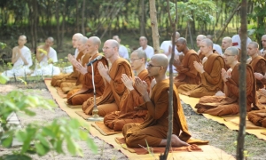 Bát chánh đạo là đuốc sáng soi đường