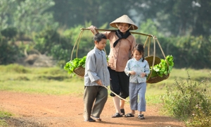 Biết thương cha mẹ khi làm mẹ cha