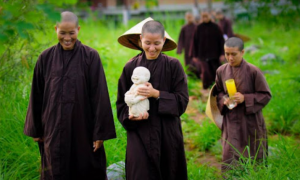 Bước chân con hãy về thanh thản