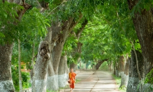 'Chùa hàng còng' - Vẻ đẹp giản dị vùng Bảy Núi An Giang