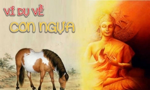 Ví dụ về con ngựa