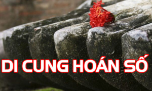 Di cung hoán số có đổi được vận mệnh?