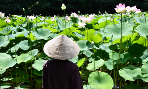 Giác ngộ là nhờ trải nghiệm đúng sai, thiện ác