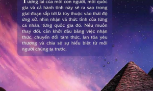 Nghiệm lại 6 lời khuyên của GS John Vu về đại dịch nhân quả