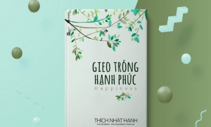 Gieo trồng hạnh phúc bằng hành thiền