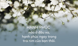 Chuyện vui ở nhà xe Hảo