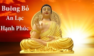 Học cách tạo nên hạnh phúc từ màng tơ nhện giăng...