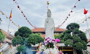 Ngày vía Quán Thế Âm thành đạo 19.6 âm lịch: Thực tập nuôi tâm không sân giận