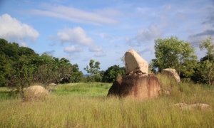 Lục căn - trần - thức