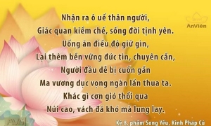 Kinh Pháp Cú được phát trên Truyền hình An Viên