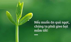 Khởi nghiệp theo tinh thần Phật giáo là phải học