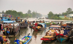 Lo lắng về nguy cơ diễn ra khủng hoảng nhân đạo ở Đồng bằng sông Cửu Long