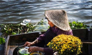 Mẹ là bát nhã – chân như – cội nguồn