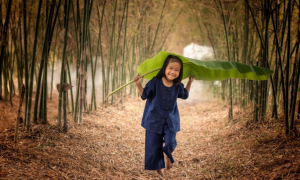 Một ngày chủ nhật thật bình thường