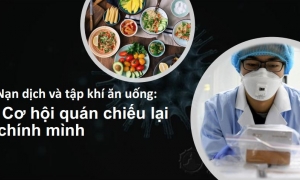 Nạn dịch và tập khí ăn uống: Cơ hội quán chiếu lại chính mình