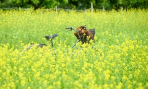 Mùa đông qua tuổi xuân thì