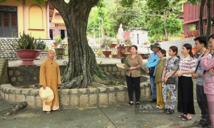 Ghé thăm ngôi chùa 'thơm' nhất xứ Tịnh Biên với hàng cây đặc biệt sống qua 2 thế kỷ