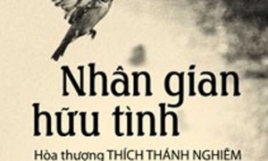 Nhân gian hữu tình