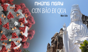 Những ngày cơn bão đi qua