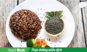 Hướng dẫn ăn thực dưỡng Ohsawa đúng cách