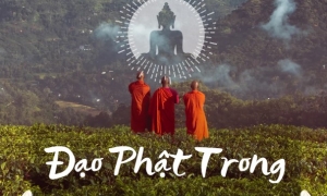 Phát động cuộc thi viết 'Đạo Phật trong trái tim tôi'