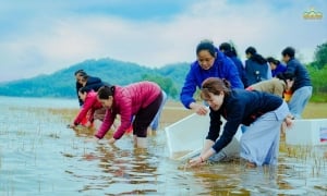 Ngũ phúc là gì? Cách tạo ra ngũ phúc để năm mới may mắn, sung túc