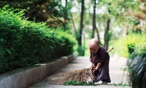 “Quét rác chứ đừng quét đất”