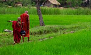 Sống là phải biết ơn và báo ơn