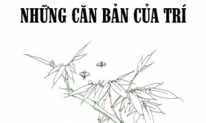 Những căn bản của Trí