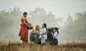 Mua điều nhân nghĩa