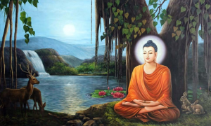 Thiền Vipassana chính xác là gì?