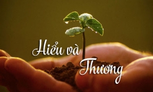 Thiền sư Thích Nhất Hạnh: 'Nếu không thể thấu hiểu, bạn không thể yêu thương'