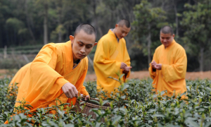 Tìm được lỗi của tâm mình là sự tu hành chân chính