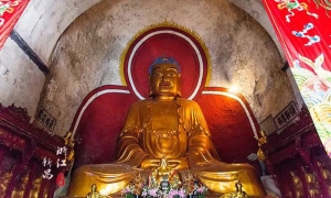 Trải qua 