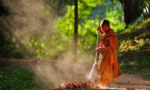 Về chốn bình yên