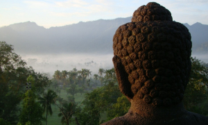 Vô minh và tuệ giác