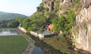 Ngôi chùa đặc biệt ở Thanh Hoá, mỗi ngày có đàn khỉ hoang rủ nhau về